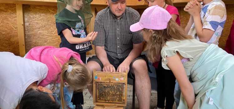 Landrückenschule zu Gast im Wabenhonighaus Landrückenschule zu Gast im Wabenhonighaus